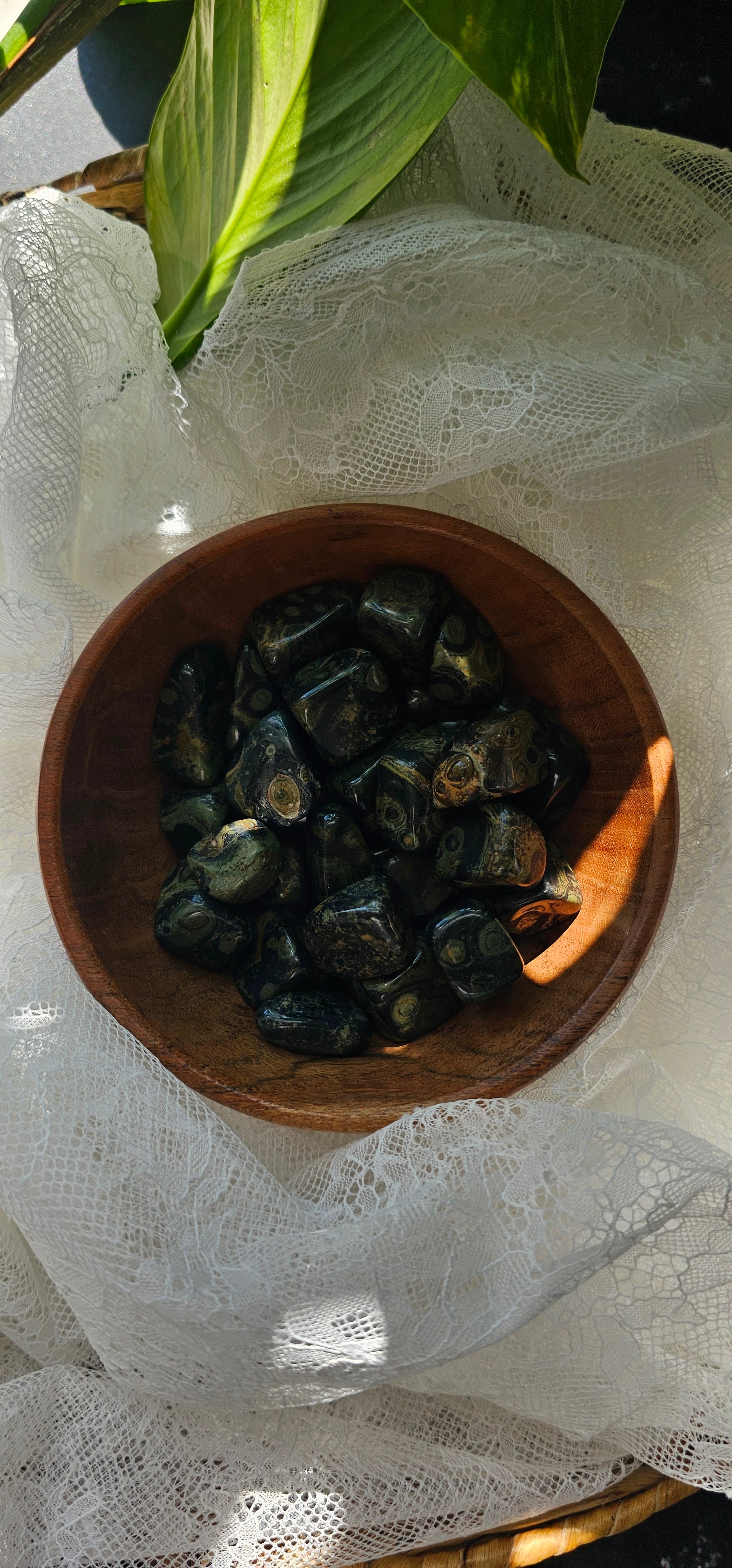 Kambaba Jasper crystals stones in a wooden bowl