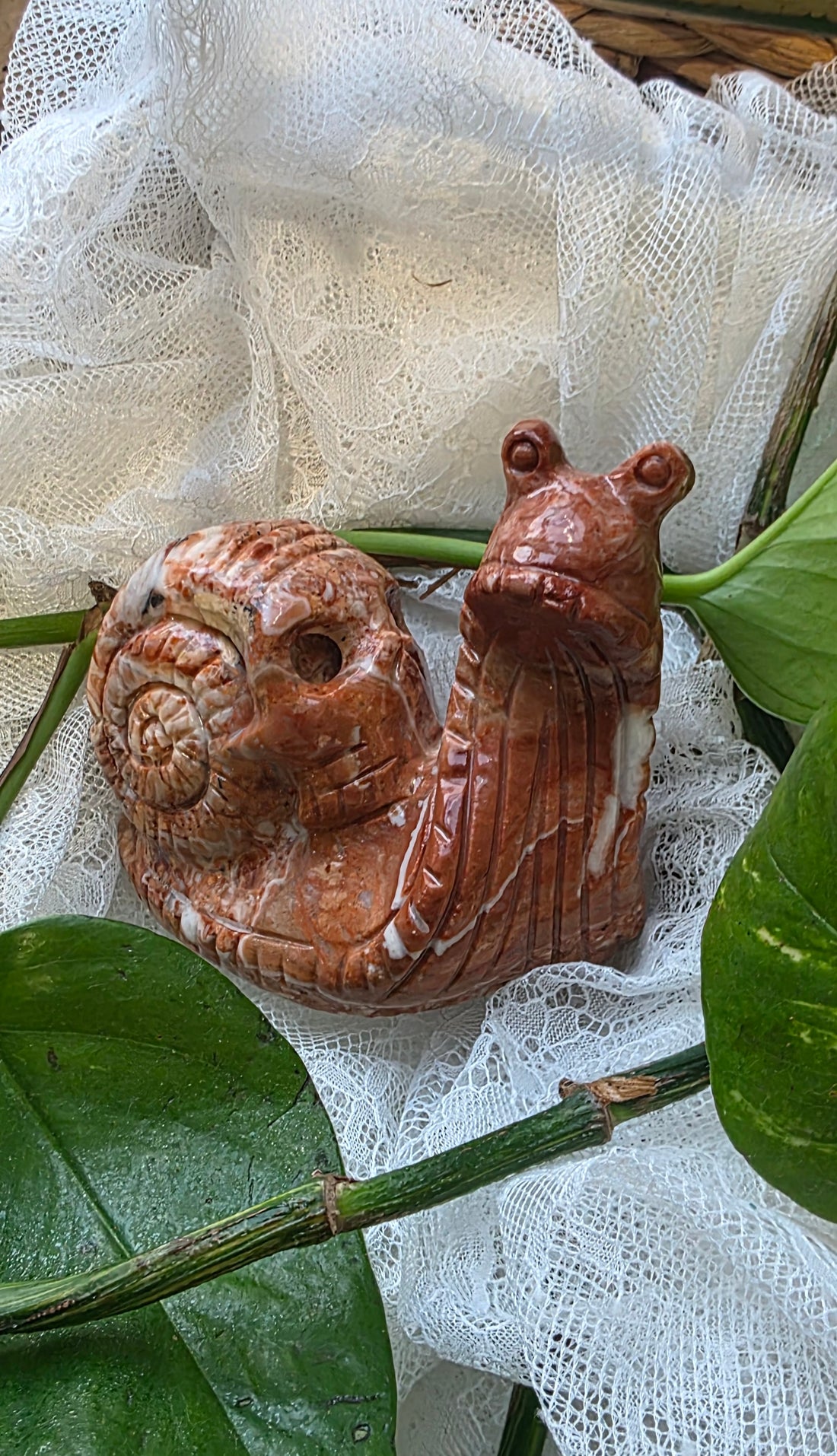 Crazy Lace Agate Snail with Skull Detail