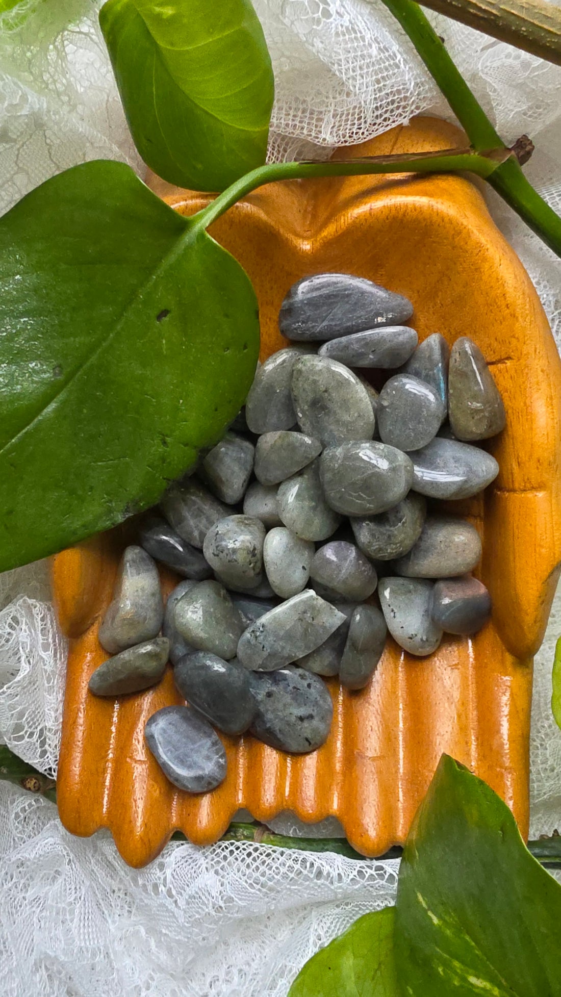 Labradorite