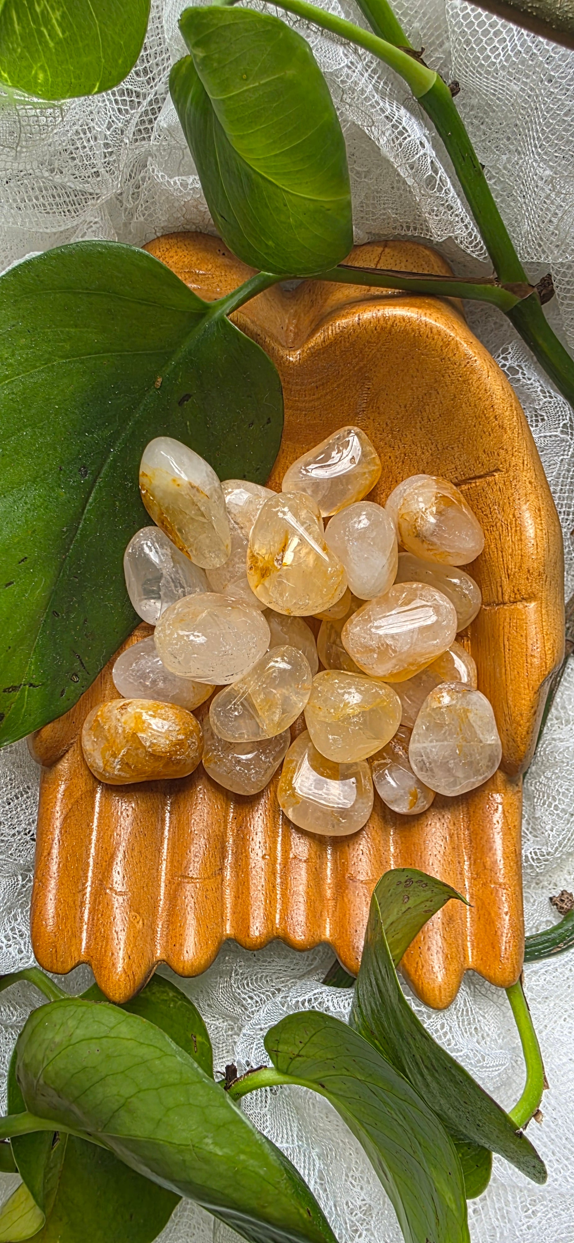 Golden Healer Tumbled