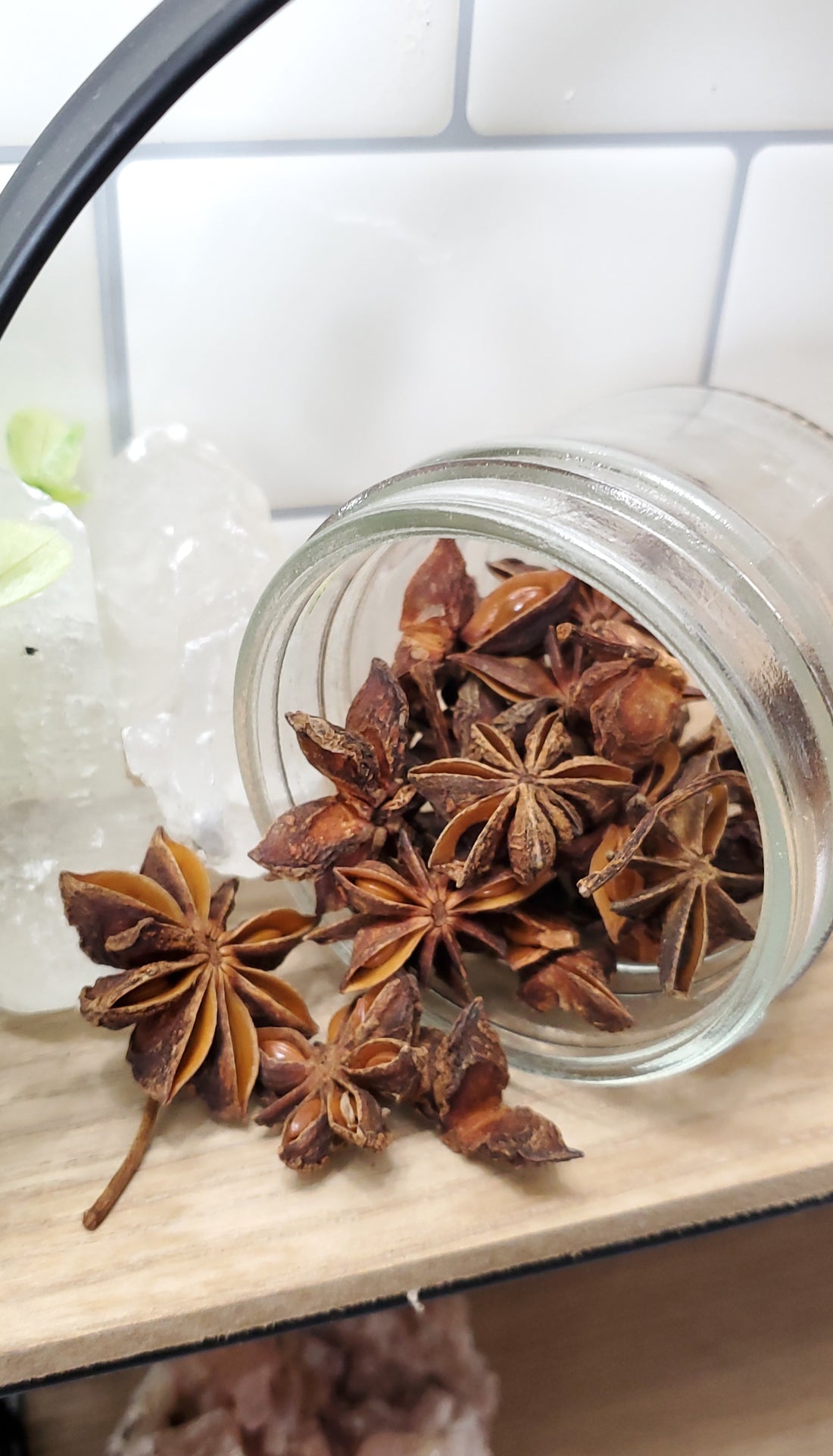 Star Anise