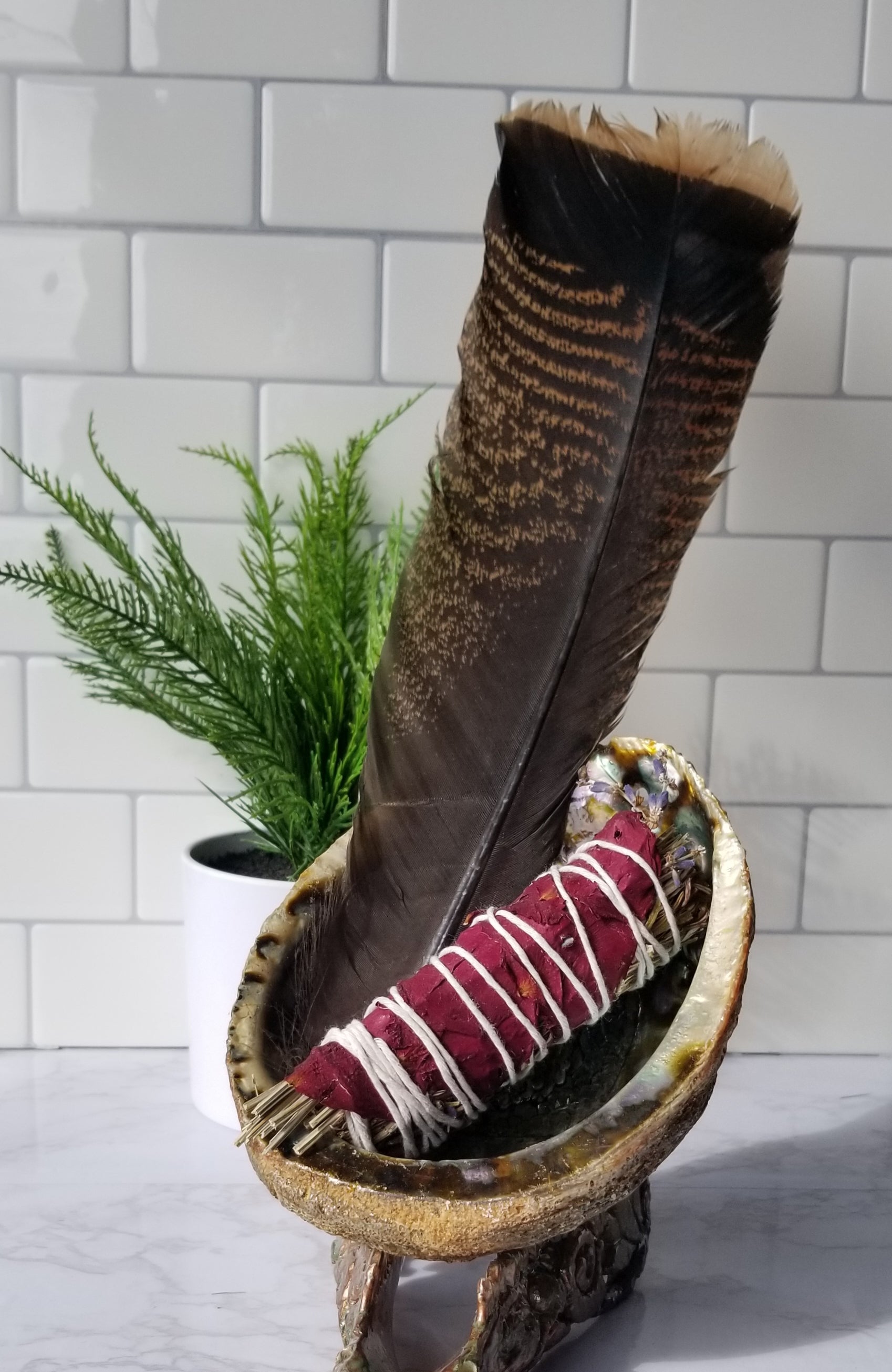 an Abalone Shell with a turkey feather and sage stick inside of it