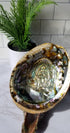 an Abalone Shell metallic on the inside