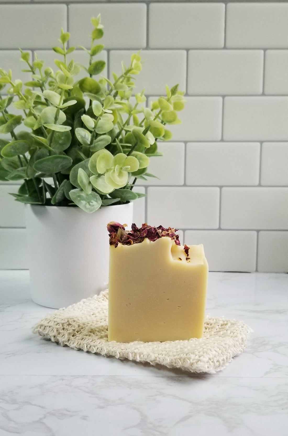 Exfoliating Soap Bag and soap