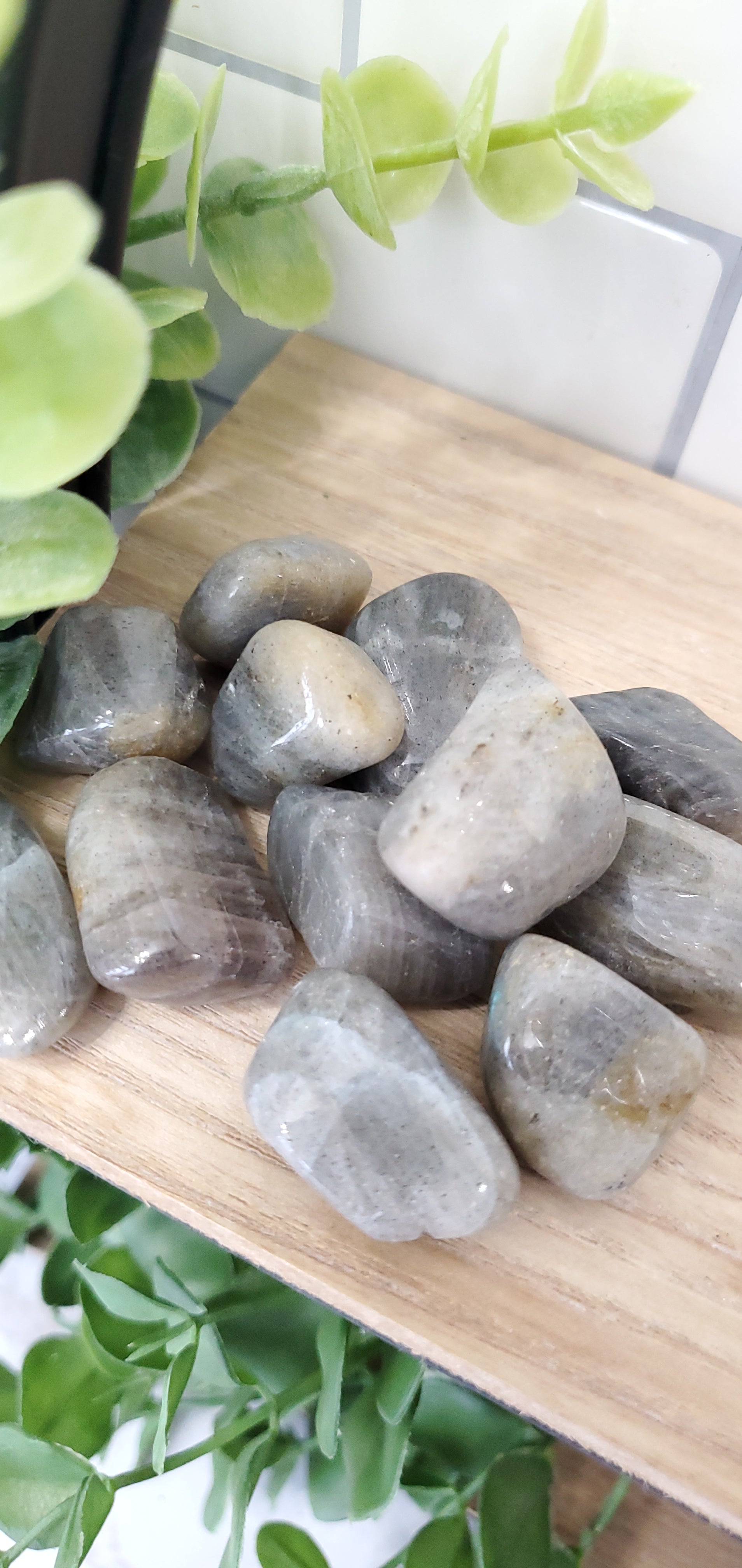 Labradorite crystals stones piled up on wooden shelf