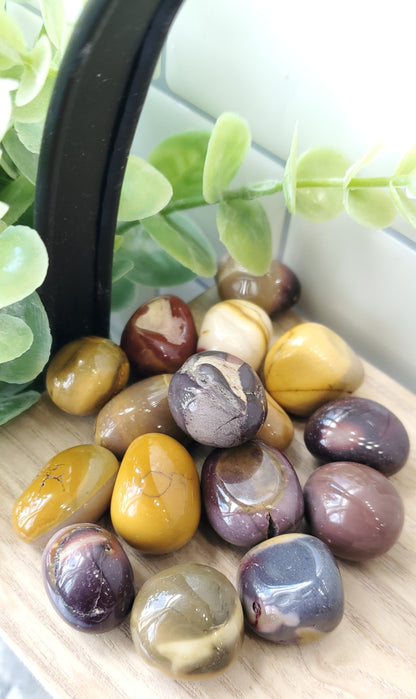 Mookaite crystals stones piled up on wooden shelf