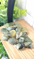 Prehnite with Epidote piled on a shelf