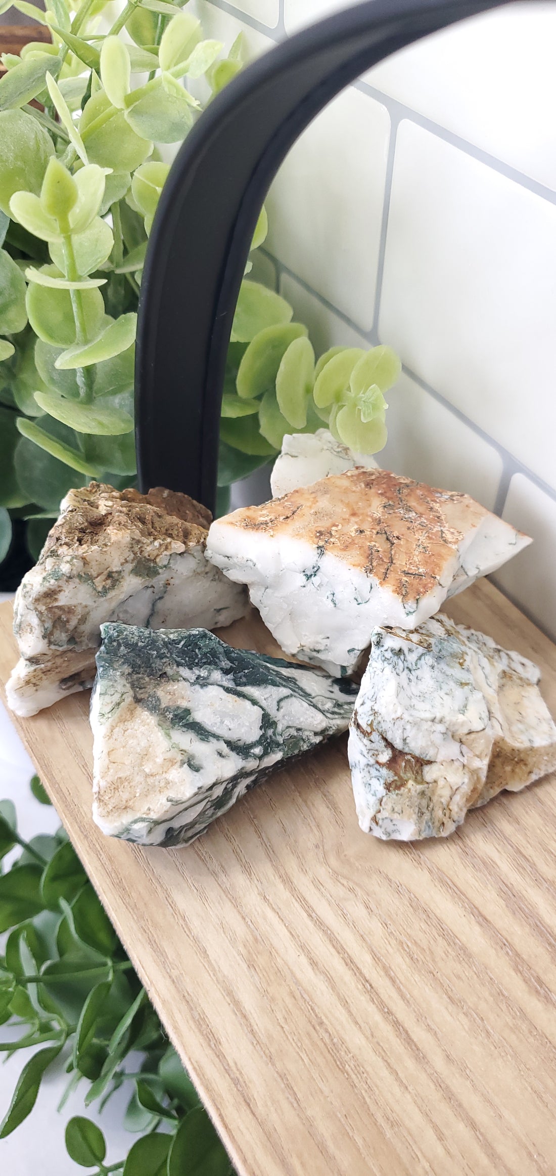 Tree Agate crystals stones piled up on shelf